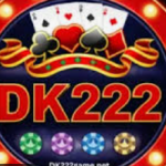 DK222 Game