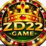 ZD22 Game APK