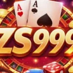 ZS999 Game