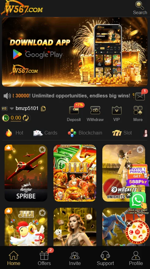W567 Game