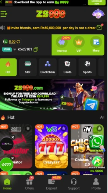 ZS999 Game